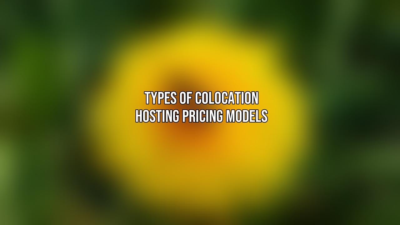 Types of Colocation Hosting Pricing Models