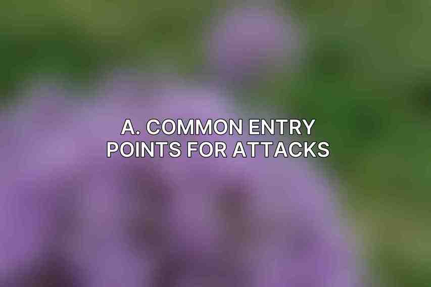 A. Common Entry Points for Attacks