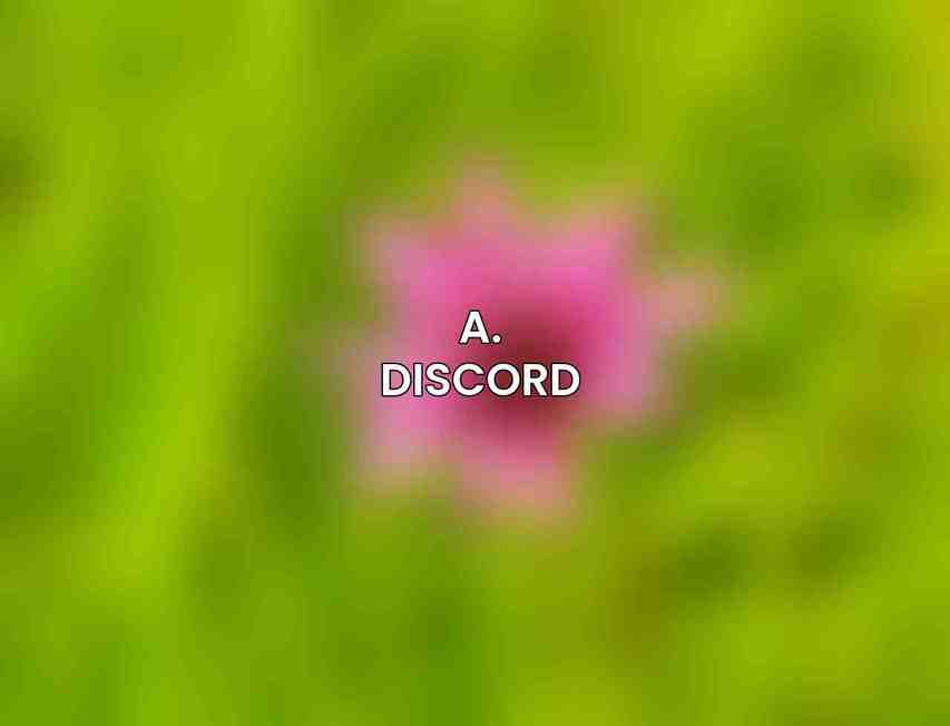 A. Discord
