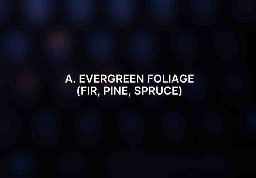 A. Evergreen Foliage (Fir, Pine, Spruce)