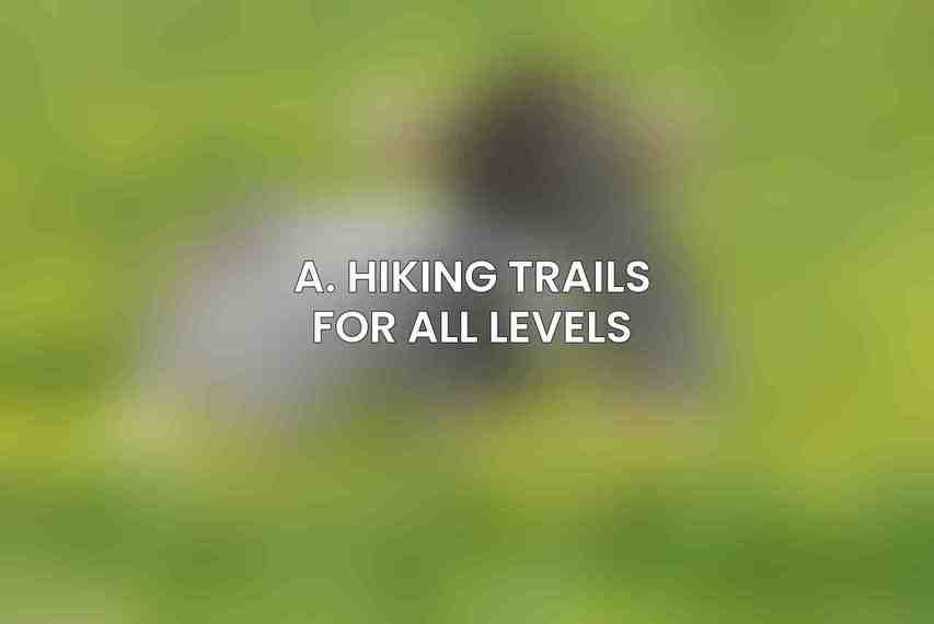 A. Hiking Trails for All Levels