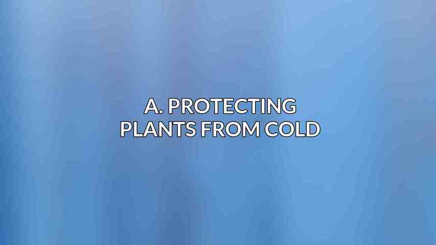 A. Protecting Plants from Cold