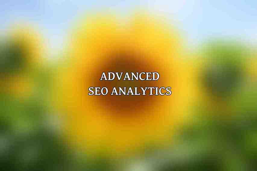 Advanced SEO Analytics