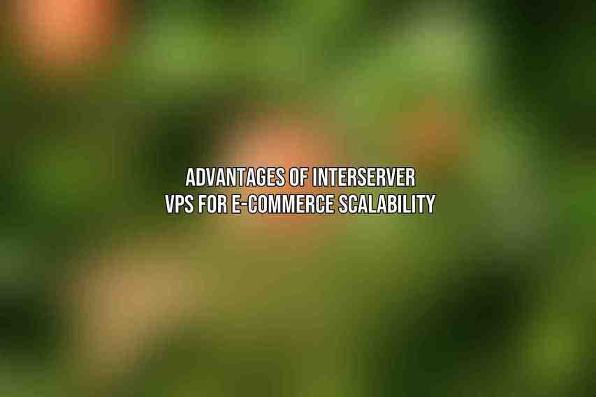 Advantages of Interserver VPS for E-commerce Scalability