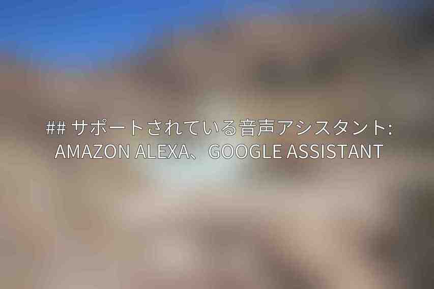 ## サポートされている音声アシスタント: Amazon Alexa、Google Assistant