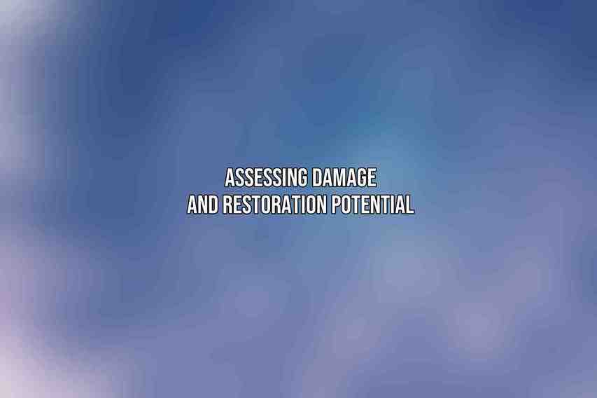 Assessing Damage and Restoration Potential
