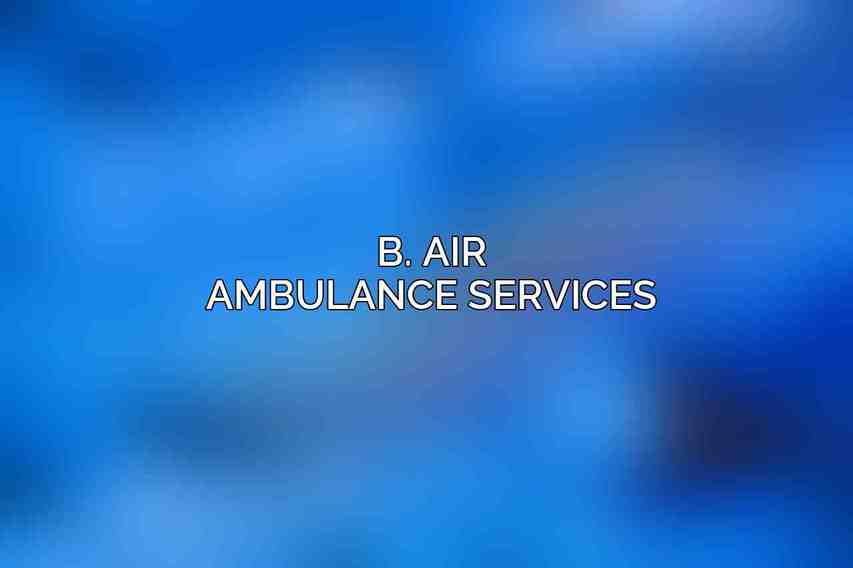 B. Air Ambulance Services