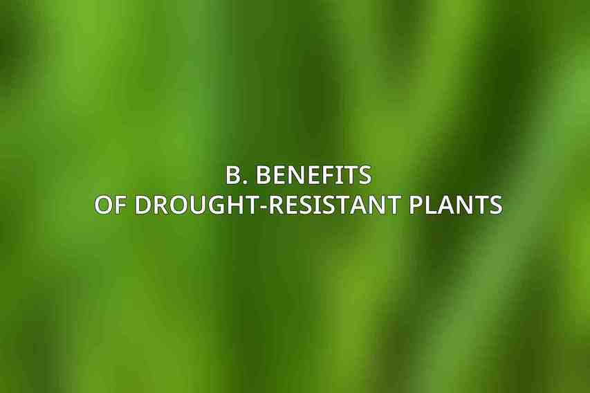 B. Benefits of Drought-Resistant Plants: