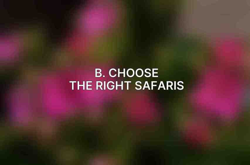 B. Choose the Right Safaris