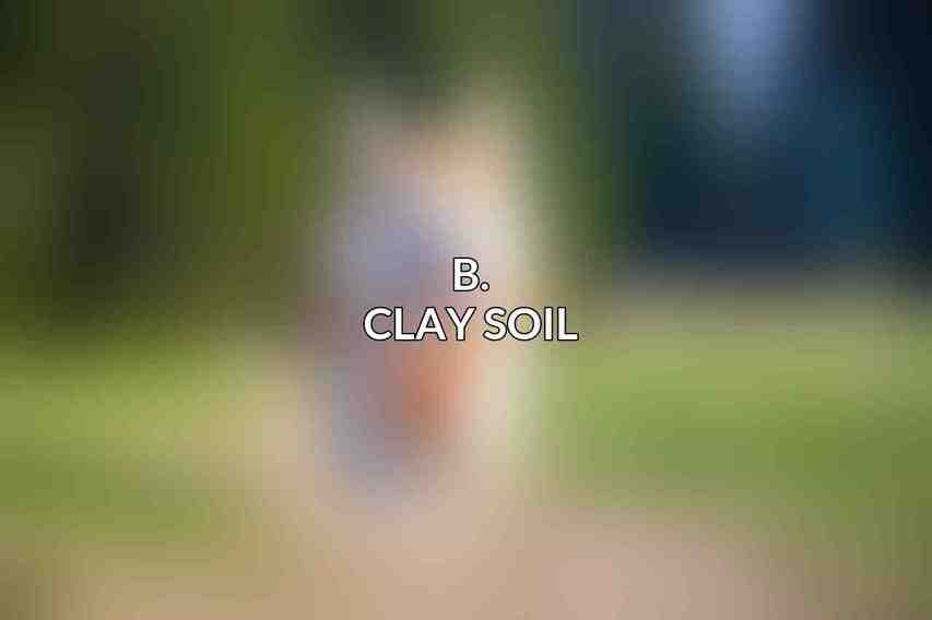 B. Clay Soil