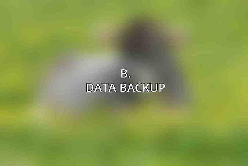 B. Data Backup