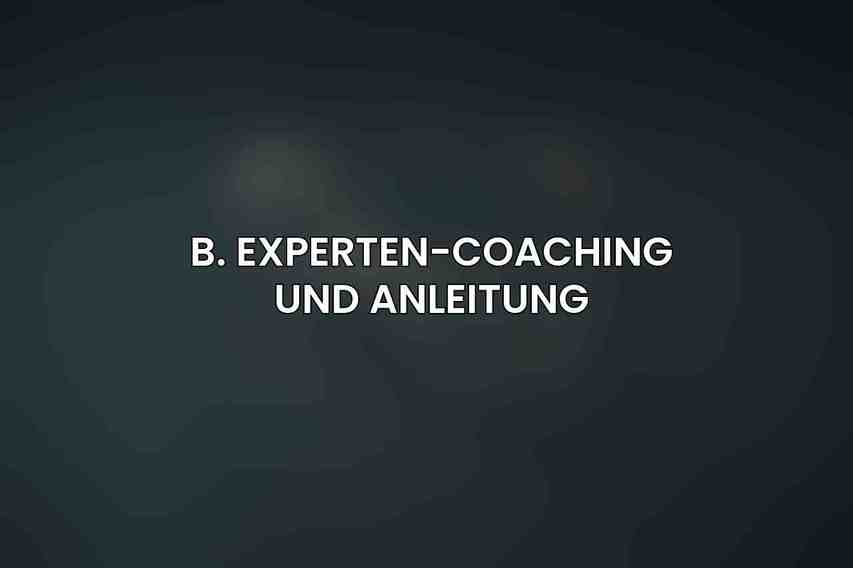 B. Experten-Coaching und Anleitung