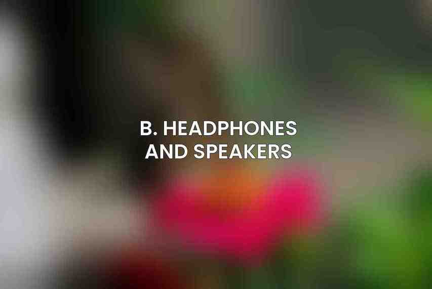 B. Headphones and Speakers