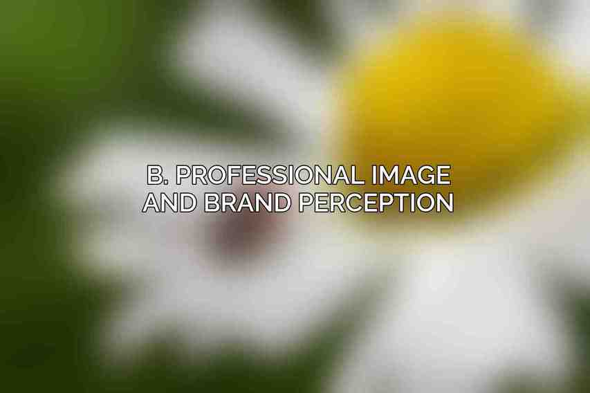 B. Professional Image and Brand Perception