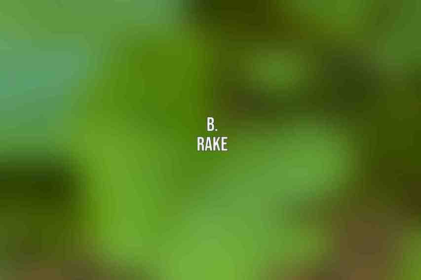 B. Rake
