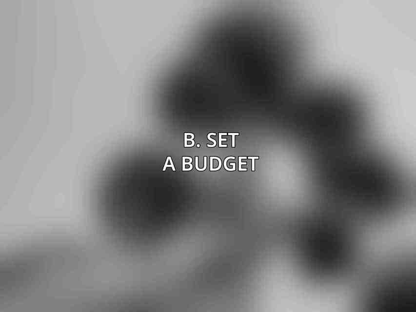 B. Set a Budget: