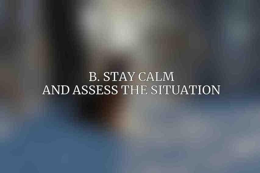 B. Stay Calm and Assess the Situation