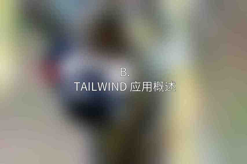 B. Tailwind 应用概述
