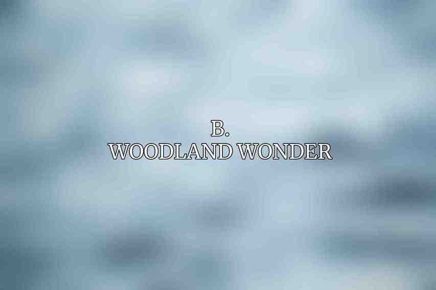 B. Woodland Wonder
