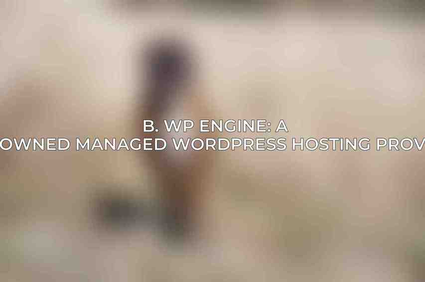 B. WP Engine: A Renowned Managed WordPress Hosting Provider