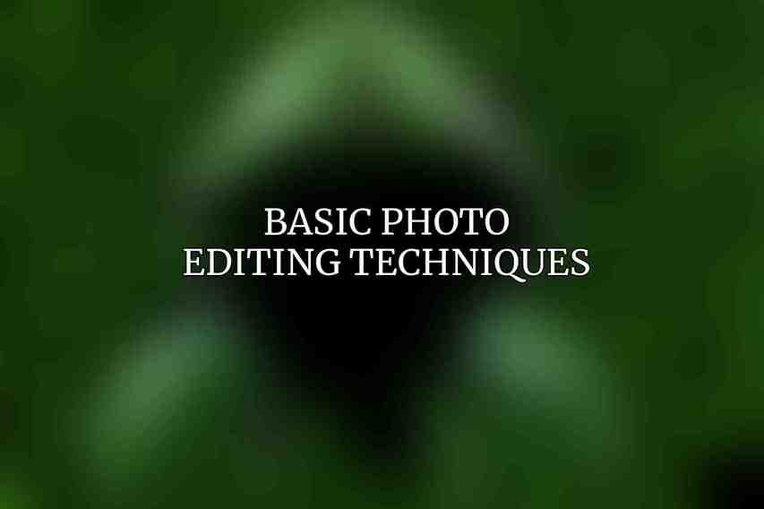 Basic Photo Editing Techniques