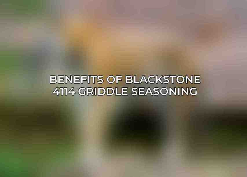 Benefits of Blackstone 4114 Griddle Seasoning
