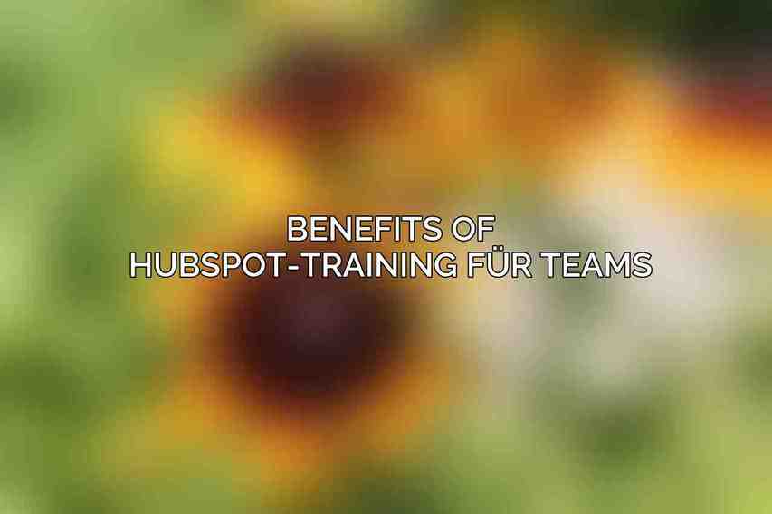 Benefits of HubSpot-Training für Teams