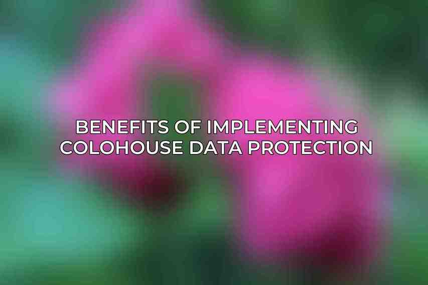 Benefits of Implementing Colohouse Data Protection