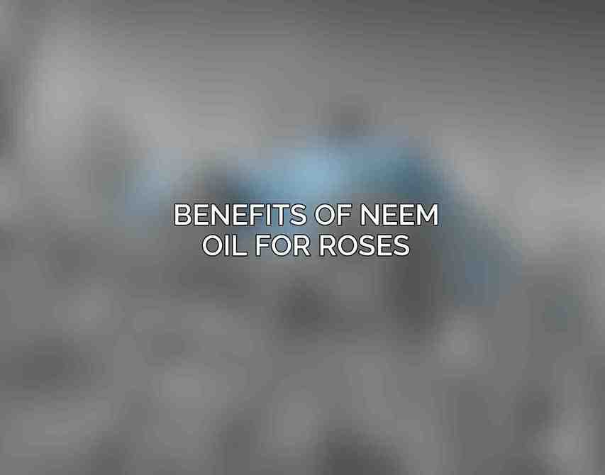 Benefits of Neem Oil for Roses