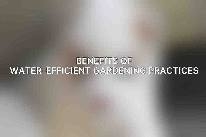 Benefits of water-efficient gardening practices