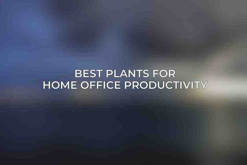 Best Plants for Home Office Productivity