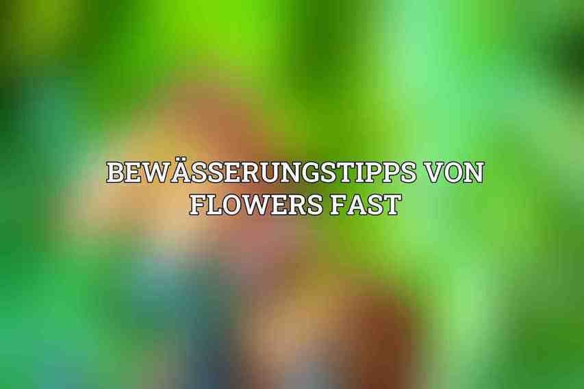 Bewässerungstipps von Flowers Fast