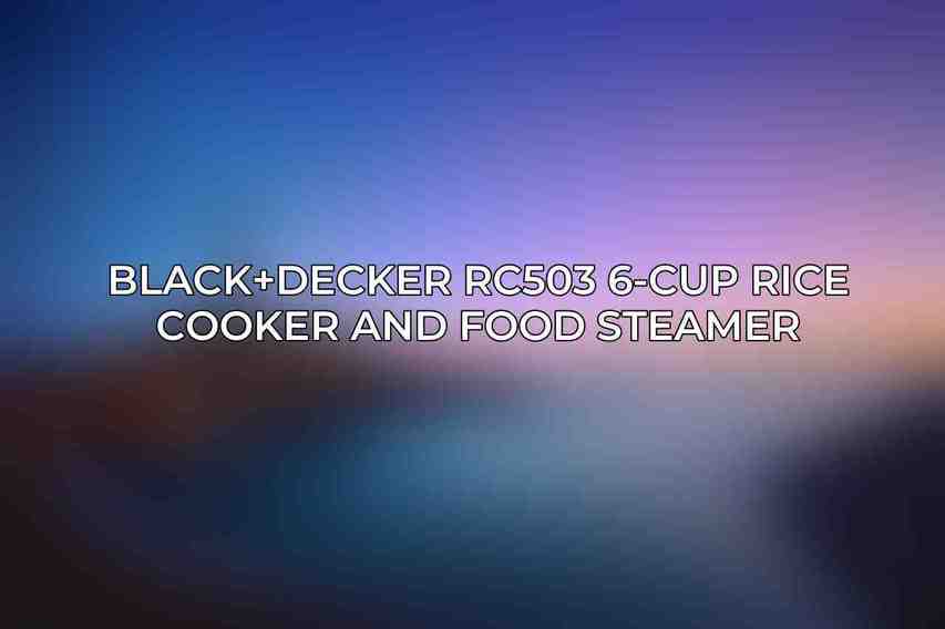 Black+Decker RC503 6-Cup Rice Cooker and Food Steamer