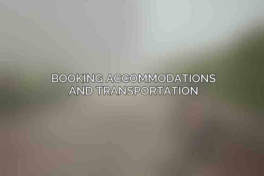 Booking Accommodations and Transportation