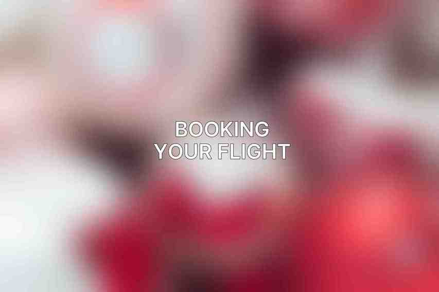 Booking Your Flight