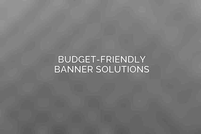 Budget-Friendly Banner Solutions