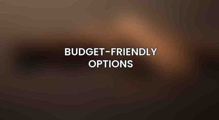Budget-Friendly Options