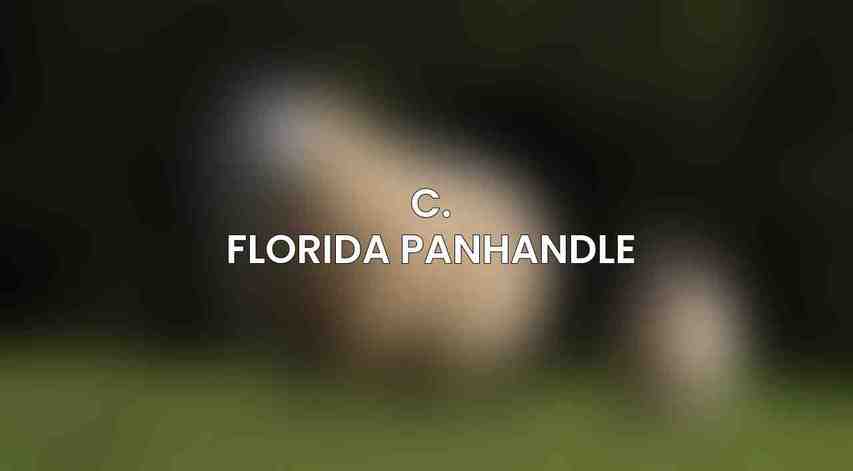 C. Florida Panhandle