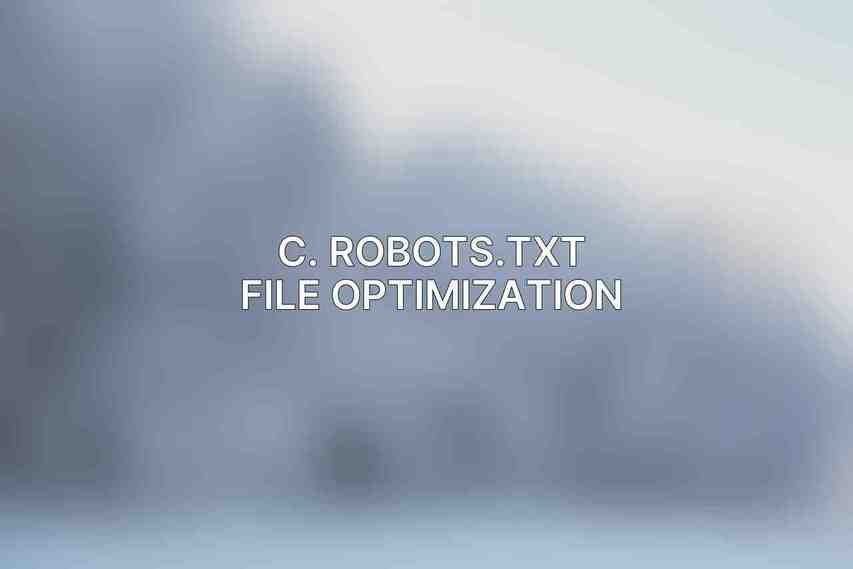 C. Robots.txt File Optimization