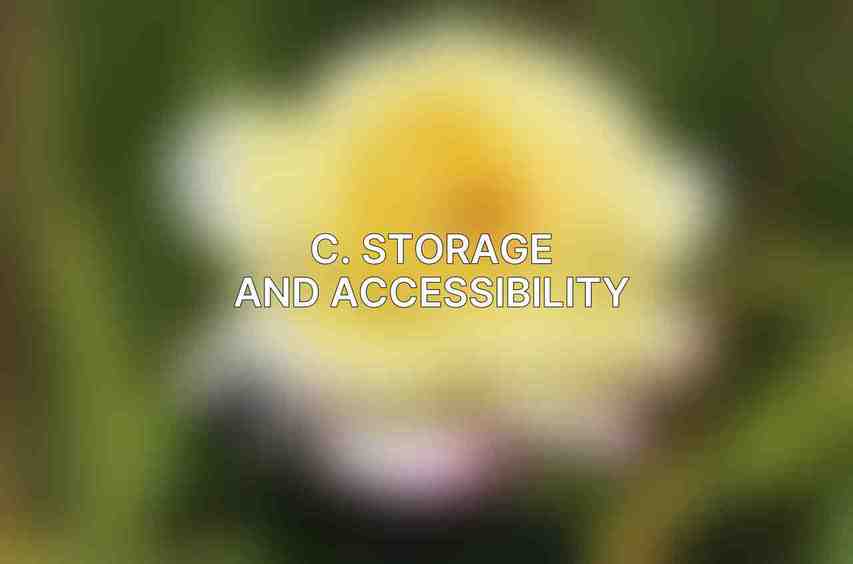 C. Storage and Accessibility
