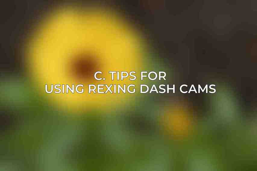 C. Tips for Using Rexing Dash Cams