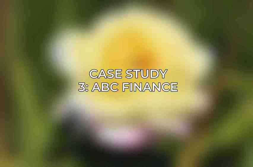 Case Study 3: ABC Finance