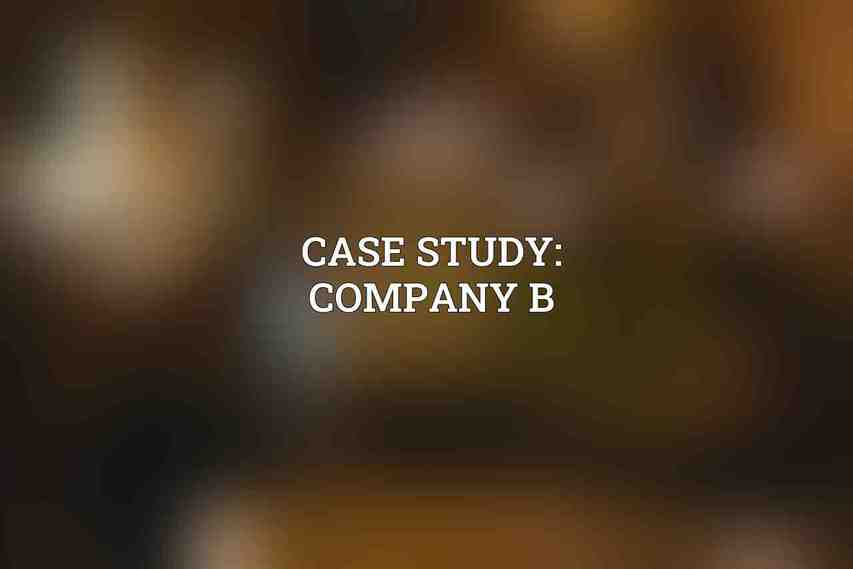 Case Study: Company B