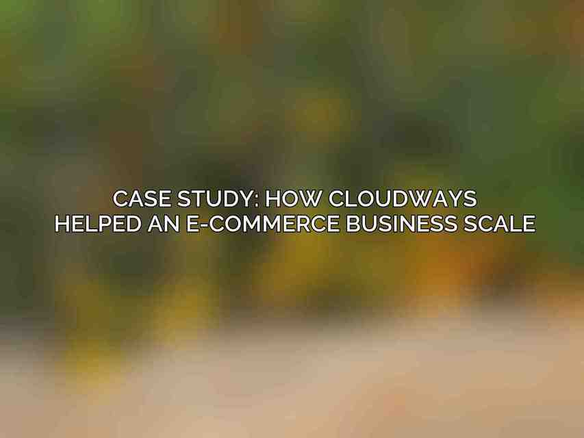 Case Study: How Cloudways Helped an E-commerce Business Scale