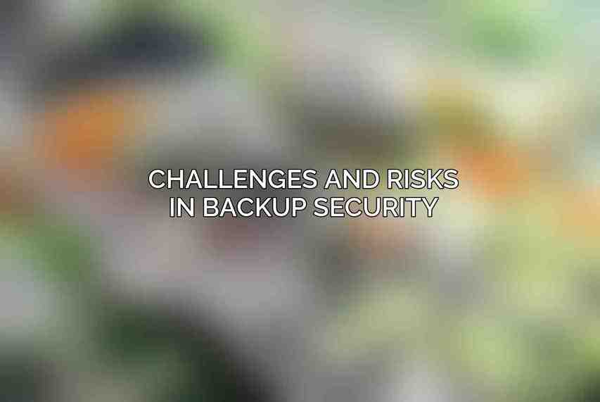 Challenges and Risks in Backup Security