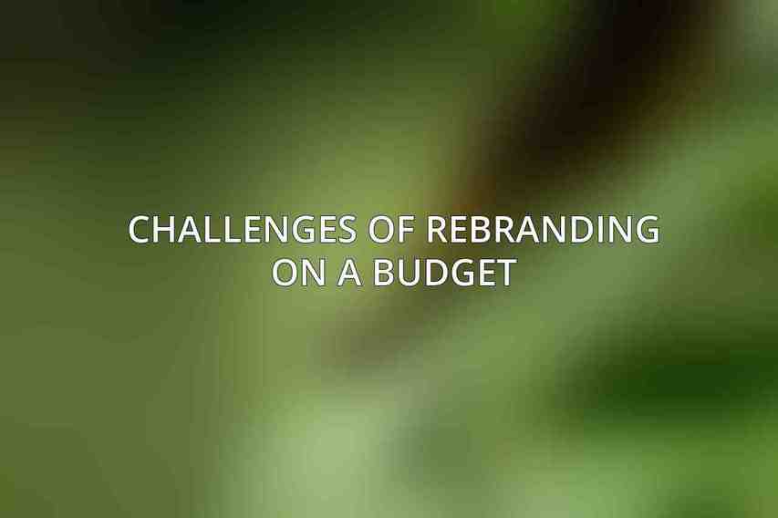 Challenges of Rebranding on a Budget
