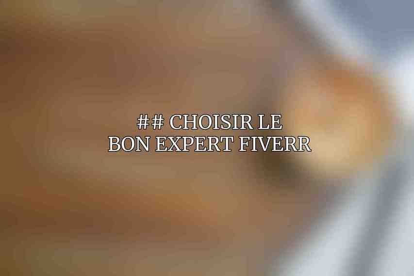 ## Choisir le bon expert Fiverr