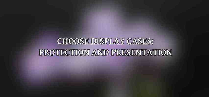 Choose Display Cases: Protection and Presentation