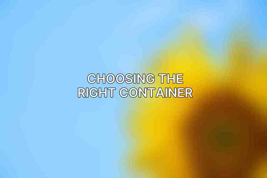 Choosing the Right Container