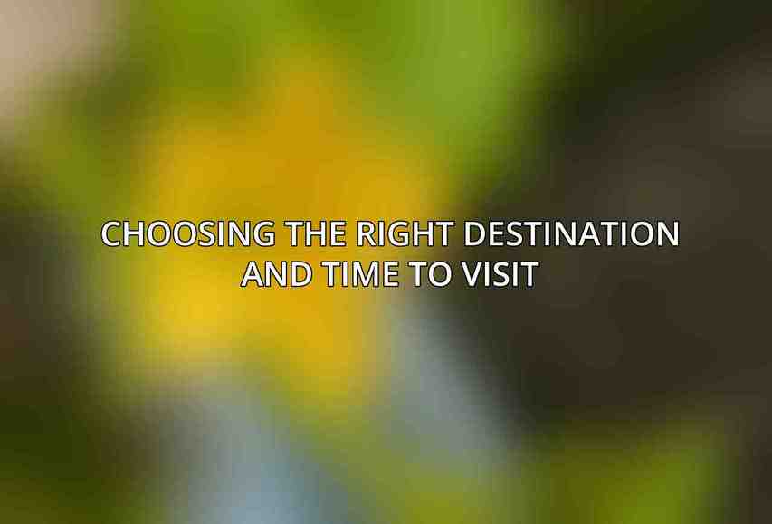 Choosing the Right Destination and Time to Visit